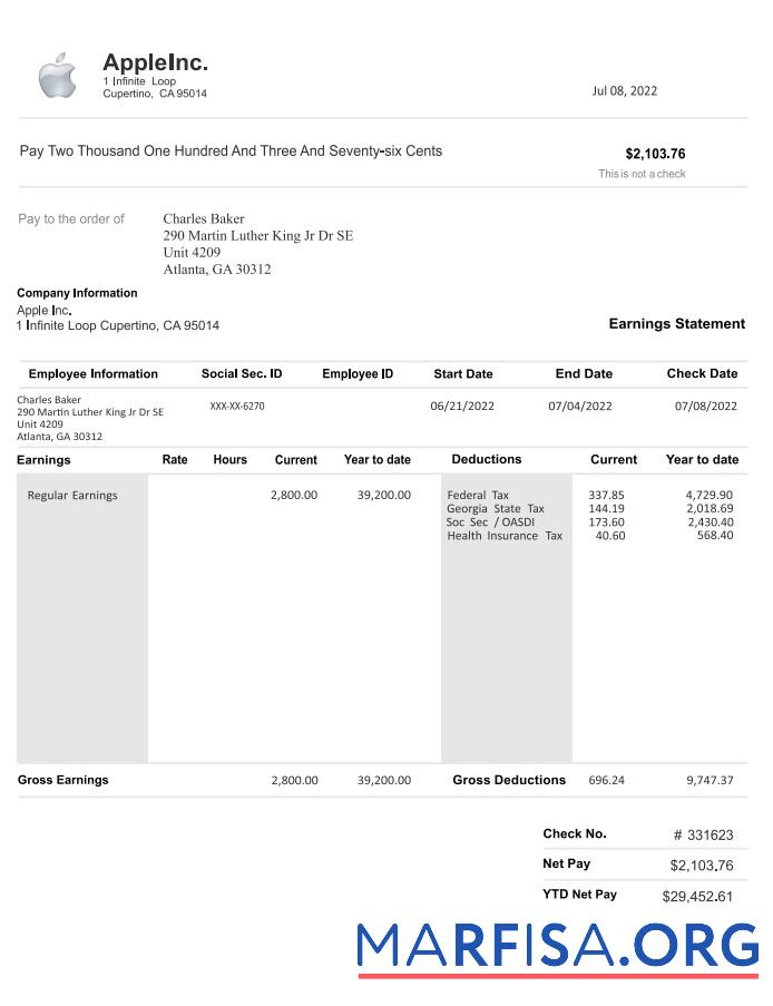 Printable Apple inc pay stub download for verification
